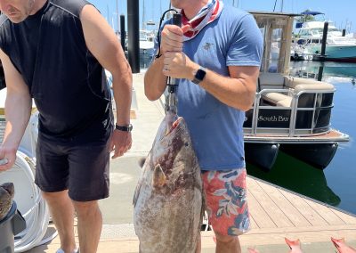 Big Grouper 2